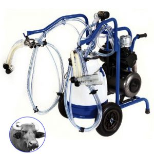 Single Bucket Single Cluster Milking Machine for Buffaloes – Italian